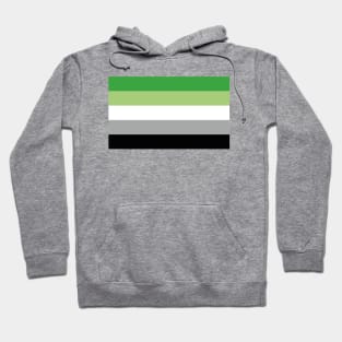 Flag of The Aromantic Pride Hoodie